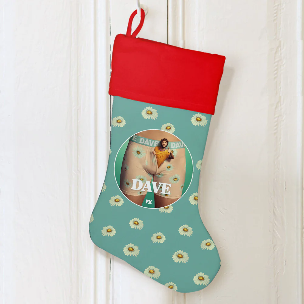 DAVE Season 1 Art Stocking
