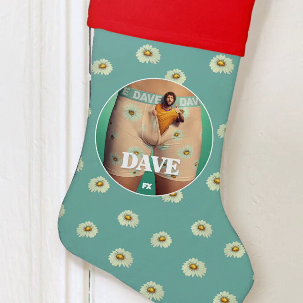 DAVE Season 1 Art Stocking - Image 2