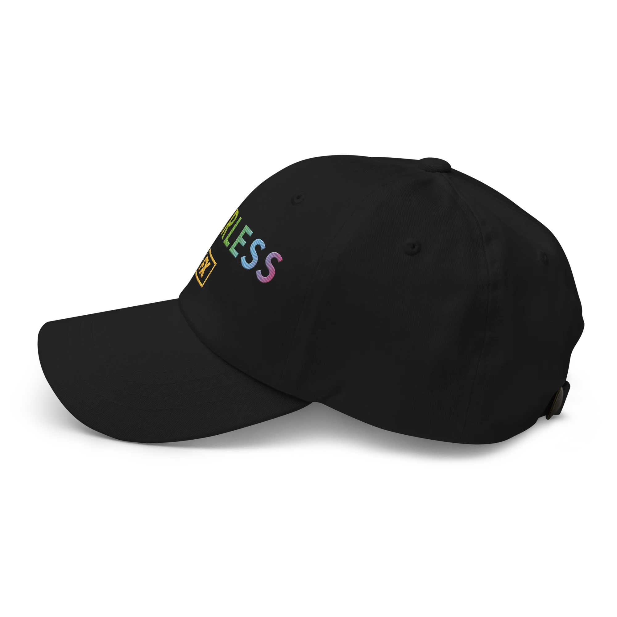 FX Fearless Pride Embroidered Dad Hat - Image 5